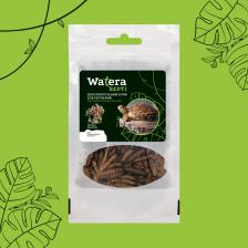WATERA Черная львинка сушеная для рептилий, грызунов, птиц и рыб, 20 гр.