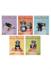 Тетрадь Hatber «Мудрая панда», 48 листов в клетку, на скобе, скруглённые углы, МИКС