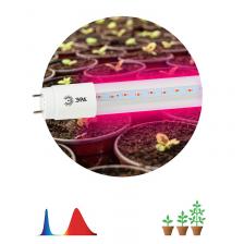 FITO-9W-RB-Т8-G13-NL Фитолампа для растений светодиодная ЭРА FITO-9W-RB-Т8-G13-NL и мясных прилавков 9 Вт Т8 G13 красно-синего спектра, цена за 1 шт