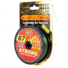Шнур плетеный WFT KG Strong Green 250/039 (1D-C-811-039)
