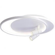 Настенно-потолочный светодиодный светильник с пультом Ambrella Comfort FL51391