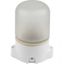 Термостойкие влагозащищенные светильники под лампу для бань и саун. Область применения: для освещения жилых, подсобных и производственных помещений, а также помещений с повышенной влажностью (бани, сауны, бассейны и т. п.). Предназначены для использования с лампами с цоколем Е27 в однофазных сетях с напряжением 230 В и частотой 50 Гц.