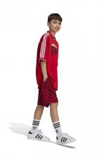 Детская футболка Adidas Originals ФУТБОЛЬНАЯ ФУТБОЛКА, красный