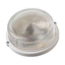 Светильник настенно-потолочный General Lighting Systems НПП 212х104мм 03-100-005.03, под лампу Е27 до 60Вт, корпус пластик 437847