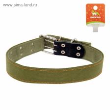 Ошейник брезентовый двухслойный, 82.5x4.5 см, ОШ 50-70 см