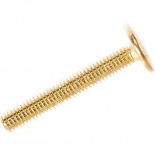 Мебельный латунированный винт ЕВРОПАРТНЕР М6х40 20 шт. 6 2112 4