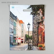 Пакет «Улица», полиэтиленовый с вырубной ручкой, 60 мкм, 31x40 см