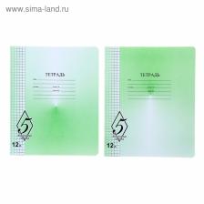 Тетрадь 12 листов клетка «Великолепная пятёрка», бумажная обложка, МИКС