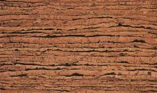 Напольное клеевое пробковое покрытие Corkstyle, коллекция NaturalCork, CN-9 «Tigre»
