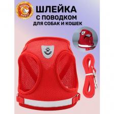 Шлейка с поводком для собак мелких и средних пород / Шлейка для кошек, XL-Красная