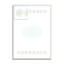 SET-10 - Бланки для сертификатов, дипломов, грамот, А4, верже, 100 гр., 10 листов