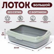 Лоток большой с бортиком Atlantis «Стандарт», 43x33x12.5 см, серый