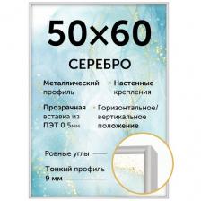 Металлическая рамка 50х60 см, Нельсон; цвет серебристый матовый