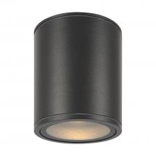Уличный потолочный светильник IP65 Maytoni Bar O306CL-L12GF