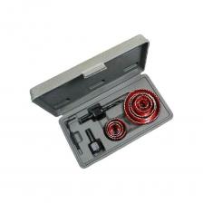 Набор коронок по дереву TORGWIN T85806