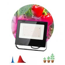 FITO-100W-RB-LED Фитопрожектор для растений светодиодный ЭРА FITO-100W-RB-LED для цветения и плодоношения красно-синего спектра 100 Вт, цена за 1 шт