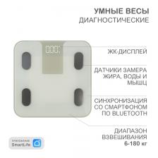 Rexant HSL-H-212W Умные весы диагностические HALSA 1 шт