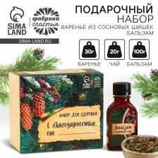 Подарочный набор новогодний«Будьте здоровы»: чай 20 г, варенье из сосновых шишек 30 г, бальзам 100 мл.