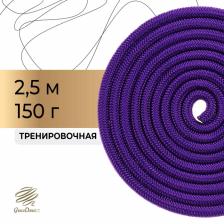 Скакалка для художественной гимнастики утяжелённая Grace Dance, 2.5 м, цвет фиолетовый