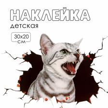 Интерьерная наклейка 3Д TAKE IT EASY «Котик шипит», 30x20 см