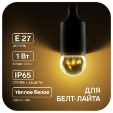 Лампа светодиодная, 6 LED, G45, Е27, 1 Вт, для белт-лайта, набор 10 шт, свечение тёплое белое