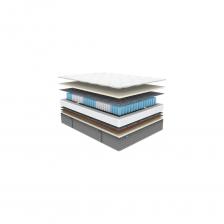 Ортопедический матрас ОК Медиум Софт имеет разный уровень жёсткости сторон. У него великолепный состав и высококачественные наполнители. Модель создана для тех, кто ценит комфорт и мягкость.Одна из сторон изделия ощущается как мягкая, что объясняется применением натурального латекса в качестве основного наполнителя у поверхности. Здесь установлено сразу 3 см ценного материала. Именно он дарит ощущение невероятного комфорта, мягкость и адаптацию под формы тела.Другая сторона имеет средний уровень жёсткости. Кроме латекса здесь добавлена 1 см плита кокосовой койры. Благодаря этому такая поверхность будет отлично поддерживать спину. Именно койра кокоса обеспечивает удержание позвоночника в анатомически правильном положении.Основой матраса выступает независимый пружинный блок 5 Zone, где на квадратный метр площади приходится сразу 256 элементов. Ещё такой блок называют многозональный, поскольку каждая пружина функционирует независимо и самостоятельно подстраивается под давление, вес и формы. Такая адаптация тем самым позволяет достичь высокого ортопедического эффекта для матраса.Ещё больше расширяет возможности поддержки зональность системы. 5 областей с отличающейся плотностью рассчитаны на анатомию человека и учитывают её особенности. Таким образом, например, зона бёдер получает более высокую поддержку, чем другие области.Трикотажный чехол выполнен в приятном и универсальном светло-молочном оттенке. Обивка матраса несъемная и имеет боковые ручки.Трикотаж для мягкости и комфорта простёгивается на слоях синтепона и пены Balance. Для того чтобы конструкция стала более надёжной и прочной внутри устанавливается спанбонд – фиксирующий слой, увеличивающий общий срок службы чехла. Все слои формируют 4D Original – четырёхслойную обивку повышенного комфорта.