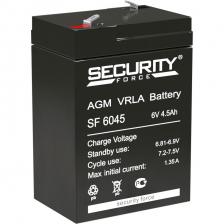 Заменяемые комплекты батарей Delta Security Force (6V / 1Ah) [SF 6045]