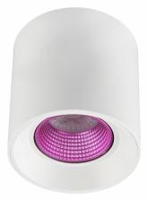 Накладной светильник Denkirs DK3020WPI DK3090-WH+PI Цвет плафонов белый