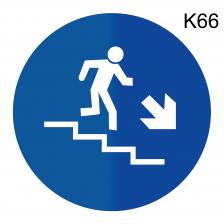 Информационная табличка «Лестница вниз» надпись на дверь пиктограмма K66 – фото 4