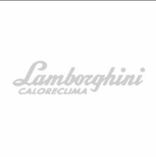 LAMBORGHINI Комплект (змеевик+ клапан) защиты от перегрева котла WBL 4-5 (Eco Logik 3) LAMBORGHINI Комплект (змеевик+ клапан) защиты от перегрева котла WBL 4-5 (Eco Logik 3)