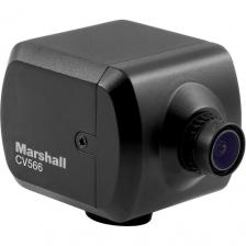 Marshall Electronics Видеокамера Marshall CV566