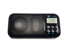 MP3/FM плеер (акустическая система) с колонками NG-555 (HJ-92) (черный)