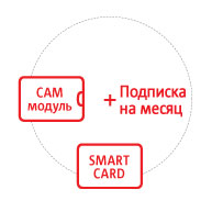 Комплект Спутникового ТВ МТС №193 модуль CAM Irdeto, Smart-карта, услуга Спутникового ТВ