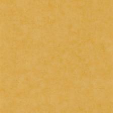 Обои Caselio Beton 101482000 Винил на флизелине (0,53*10,05) Желтый, Штукатурка