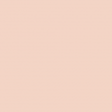 Краска Swiss Lake цвет Barely Blush SL-1452 Tactile 3 9 л