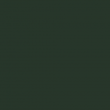 Краска Swiss Lake цвет Fir green RAL 6009 Wall Comfort 7 0.4 л