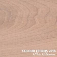 Цветное масло Rubio Monocoat Oil Plus 2C Trend Color Winter Blush 0,35 л – фото 1