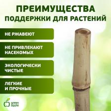 GBS-10-120 GBS-10-120 GREEN APPLE Поддержка бамбуковая 120см o 10мм набор 5шт, цена за 1 шт