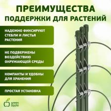 GFS-3-45 Поддержка для цветов GREEN APPLE GFS-3-45 3 кольца 45 см, цена за 1 шт