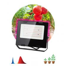 FITO-50W-RB-LED Фитопрожектор для растений светодиодный ЭРА FITO-50W-RB-LED для цветения и плодоношения красно-синего спектра 50 Вт, цена за 1 шт FITO-50W-RB-LED Фитопрожектор для растений светодиодный ЭРА FITO-50W-RB-LED для цветения и плодоношения красно-синего спектра 50 Вт, цена за 1 шт