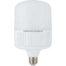 Светодиодная лампа TDM