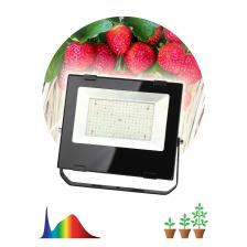 FITO-100W-Ra90-LED Фитопрожектор для растений светодиодный ЭРА FITO-100W-Ra90-LED для цветения и плодоношения полного спектра 100 Вт, цена за 1 шт FITO-100W-Ra90-LED Фитопрожектор для растений светодиодный ЭРА FITO-100W-Ra90-LED для цветения и плодоношения полного спектра 100 Вт, цена за 1 шт