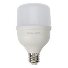 Лампа светодиодная высокомощная 30 Вт E27 с переходником на E40 2850 Лм 4000 K нейтральный свет REXANT, цена за 1 шт