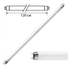 Лампа люминесцентная PHILIPS TL-D 36W/54-765, 36 Вт, цоколь G13, в виде трубки 120 см, холодный дневной свет, 815849 Лампа люминесцентная PHILIPS TL-D 36W/54-765, 36 Вт, цоколь G13, в виде трубки 120 см, холодный дневной свет, 815849