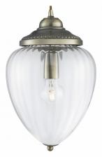 Подвесной светильник Arte Lamp Rimini 1 A1091SP-1AB Цвет арматуры бронза Цвет плафонов прозрачный