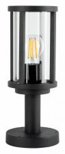 Наземный низкий светильник Arte Lamp Toronto A1036FN-1BK Цвет плафонов прозрачный Цвет арматуры черный