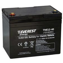 Everest Energy Everest TNE 12-40 - тяговый гелевый аккумулятор (12 В, 34 А/ч)