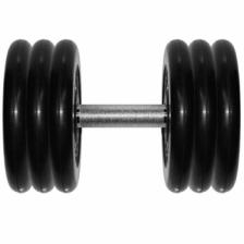 Barbell профи 31,0 кг Barbell профи 31,0 кг