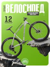 Горный велосипед Titan Racing Rogue Dash, год 2024, цвет Серый, ростовка 16