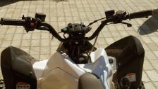 Квадроцикл MOTOLAND 150S – фото 1